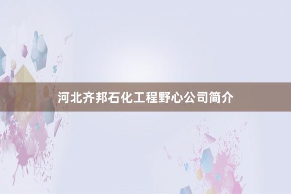 河北齐邦石化工程野心公司简介